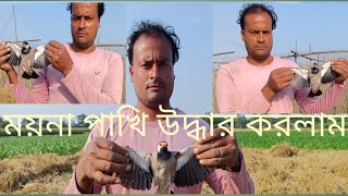 ময়না পাখি উদ্ধার করলাম [upl. by Akenahs]