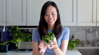 How to Grow Baby Bok Choy Indoors aerogarden experiments [upl. by Oaoj699]