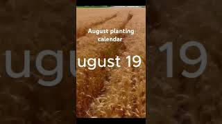 August planting calendar organic Gardening best days to plant above and beyond ground crops [upl. by Arot]