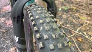 Onza Porcupine 29x2 6 Tire Review [upl. by Abramo]