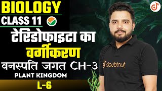 Classification of Pteridophytes  वनस्पति जगत Class 11 Biology Chapter 3  Plant Kingdom  L  6 [upl. by Esmond]