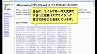 高速アラインメントツールBLATをプライマー設計支援ツールとして使い倒す [upl. by Tigges]