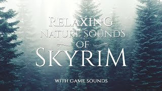 Skyrim Atmospheres by Jeremy Soule  Relaxing Nature Sounds of Skyrim [upl. by Lluj618]