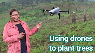 How drones are being used to plant trees and manage forests  PART 3 [upl. by Isus]