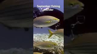 September fishing calendar the best days to go fishing fishing by the moon cycle fishing [upl. by Onitnerolf]