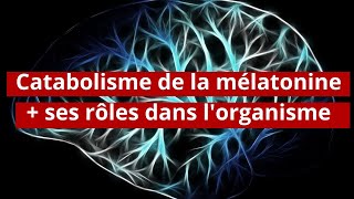 Endocrino02 Catabolisme de la mélatonine et ses rôles dans lorganisme [upl. by Belita]