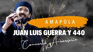 Amapola  Juan Luis Guerra 440 En Vivo desde el Estadio Olímpico 2005 [upl. by Center]