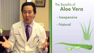 Topical Aloe Vera Gel for Accelerated Wound Healing —Video Discussion by Anthony Youn MD [upl. by Leik]