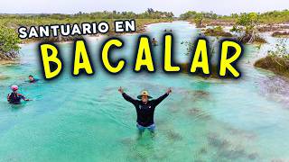 Explorando el SANTUARIO de estromatolitos en la laguna de BACALAR 💦 Los rápidos [upl. by Anemix]