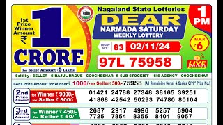 LIVE Lottery Sambsd 1pm Official 02112024 Result  Nagaland State Lottery [upl. by Nyrmac]