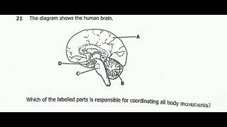 2024 BIOLOGY GCE PAPER 1 THE HUMAN BRAIN [upl. by Annavas]