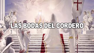 Las Bodas del Cordero  Musica Cristiana Lindsey Vargas [upl. by Aniuqahs975]