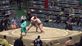 本間天20183185honmaamaneday8 sumo [upl. by Lledra]