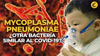 MYCOPLASMA PNEUMONIAE la BACTERIA que generó el BROTE DE NEUMONÍA EN NIÑOS de China  El Comercio [upl. by Na]