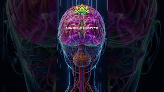 Activate Full Brain Power  Synchronize Your Brainwaves  Enhance Clarity amp Deep Focus  40 Hz [upl. by Caravette]