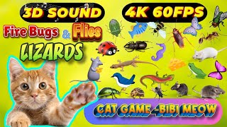 CAT GAMES TOM TV amp BiBi  Ultimate Compilation Catching The LIZARDS  Flies FireBugs🦎11 HOUR🦎Vol 26 [upl. by Ennahgiel]