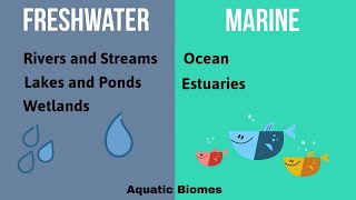 Aquatic Biomes [upl. by Ellekram669]