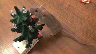 Mouse decorates the Christmas tree Original [upl. by Crellen]