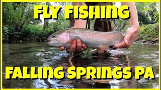 Fly Fishing Falling Springs Branch Pennsylvania [upl. by Wickman89]