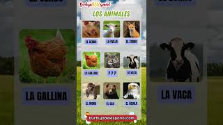 ¡Aprende fácilmente el vocabulario de animales en español Descubre nuevas palabras con este video 📲 [upl. by Grieve832]