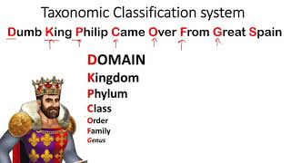 Taxonomic classification system mnemonics  animal kingdom Classification short tricks [upl. by Anthe959]