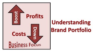 Understanding Brand Portfolio [upl. by Ecilef]