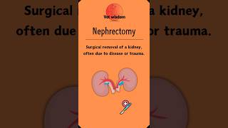 Nephrectomy The Essentials of Kidney Removal [upl. by Combe]