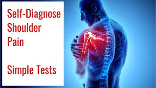 SelfDiagnose Shoulder Pain with these Tests [upl. by Anirol267]