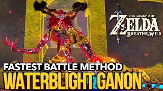 The EASIEST amp FASTEST Way to Defeat Waterblight Ganon in Zelda Breath of the Wild [upl. by Nimajnab765]