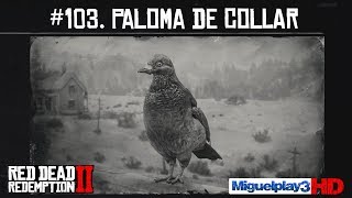 Localización Paloma de Collar  103 Compendio Animales  Red dead redemption 2 [upl. by Animahs]