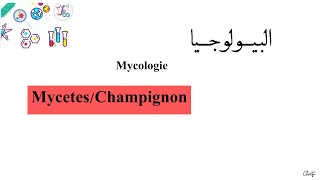 درس ميكولوجي  L3  Microbiologie Mycologie MycetesChampignon [upl. by Ondrej65]