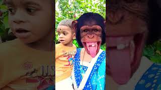 Bandar mama pahan pajama 🐒🐒🐒youtube funny monkey [upl. by Olemrac407]