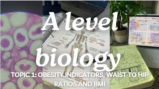 A level biology edexcel A SNAB Obesity Indicators BMI and Waist to Hip Ratio [upl. by Nagad]