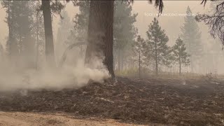 Wapiti Fire now at almost 95000 acres [upl. by Asnarepse]