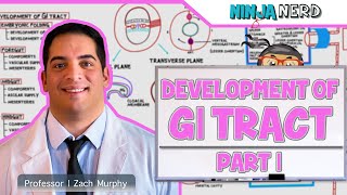 Gastrointestinal  Development amp Embryology of the GI Tract Part 1 [upl. by Lougheed]