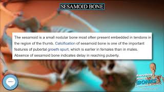 Sesamoid bone 🦴 Everything Human Anatomy Bones 🦴 [upl. by Whitby]