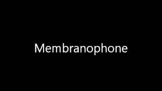 membranophonewmv [upl. by Felic840]