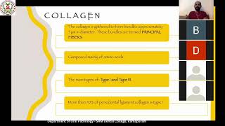 Structure of Periodontal Ligament Part I  Department of oral Pathology [upl. by Suzan]