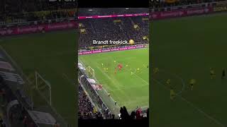 Julian Brandt freekick Goal Dortmund vs Freiburg dortmund bvb goal brandt bundesliga football [upl. by Burton]