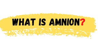 What is Amnion  Amnion Definition  Amnion meaning  Amnion [upl. by Lady]