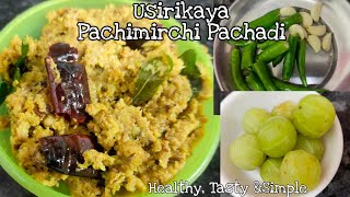 Usirikaya Pachimirchi Pachadi Instant Usirikaya Pachadi Healthy amp Tasty Amla Chutney shorts [upl. by Eninej]