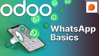 WhatsApp Basics  Odoo Discuss [upl. by Nayllij954]