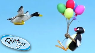 Pingu Flies Away on a Balloon 🎈  Pingu Official  Cartoons for Kids [upl. by Naujid]