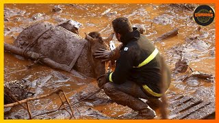 OS SETE DESASTRES AMBIENTAIS MAIS TERRÃVEIS E DESTRUIDORES DO BRASIL  DOCUMENTÃRIO DUBLADO [upl. by Sina]