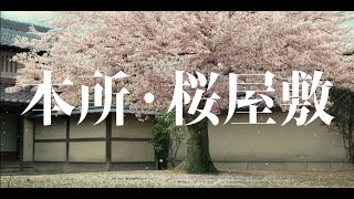 テレビスペシャル「鬼平犯科帳 本所・桜屋敷」（30秒版） [upl. by Freddi816]