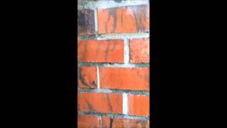 Stonewalled Penetrating Sealer  product review [upl. by Nwatna]