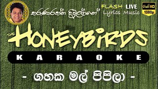 Gahaka Mal Pipila Karaoke Without Voice ගහක මල් පිපිලා කැරෝකේ [upl. by Airamat962]