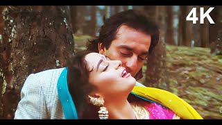 4K VIDEO  Mera Dil Bhi Kitna Pagal Hai Song  Saajan Movie Song  Madhuri amp Sanjay Dutt [upl. by Hoppe]