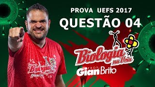 REPRODUÇÃO E EMBRIOLOGIA  PROVA UEFS 2017  questão 04 [upl. by Ecinad108]