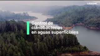 Control de cianobacterias en aguas superficiales [upl. by Kotick]